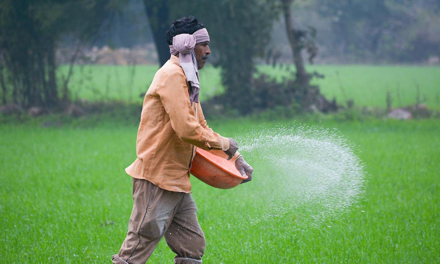 Natural Farming